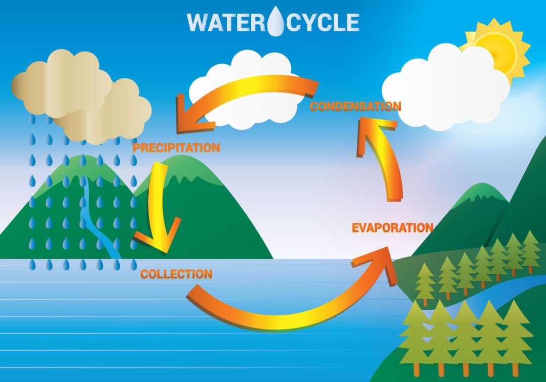 免費領取科普thewatercycle視頻實驗素材