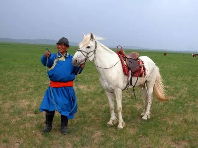 蒙古人和蒙古马的图片图片