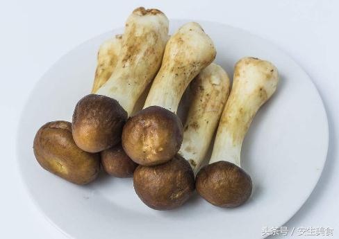 蘑菇的种类,菜中之王蘑菇的各种做法