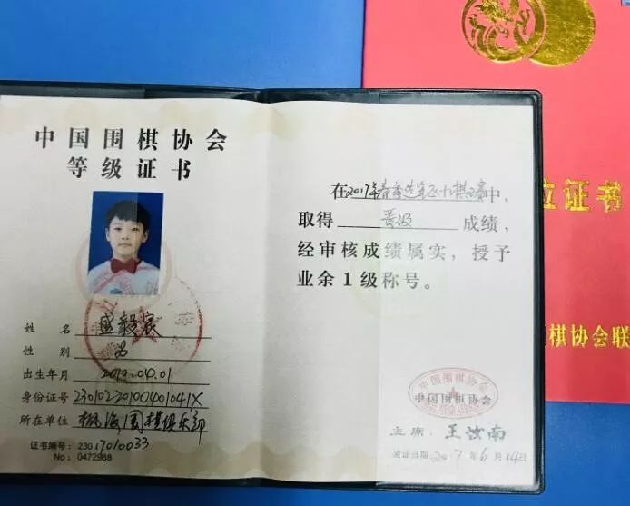 先後獲得《黑龍江省地市圍棋協會聯盟圍棋級位證書》 7級,3級;《中國