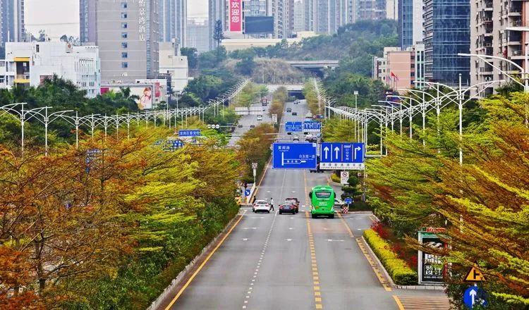 龙城清林路 8915坂田环城路8915坂田隆平路8915坂田布龙