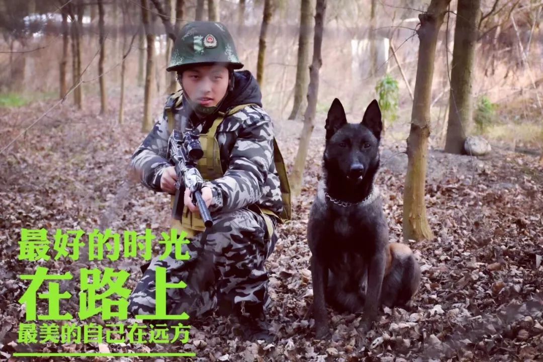 别急,狼霸训犬视频教程能解决你心中所有的疑惑