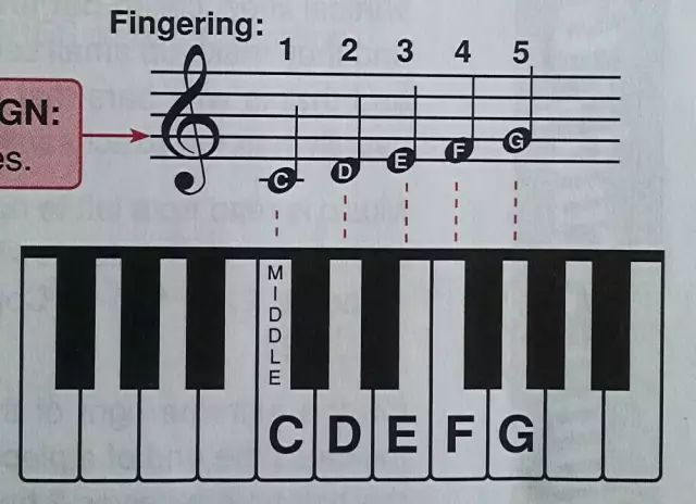 钢琴c调指法图示图片