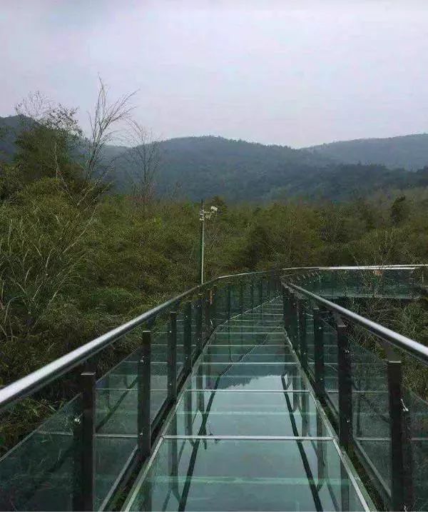 绵阳香草园玻璃桥图片图片