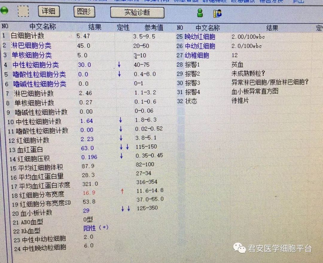 白血病的血常规指标图图片