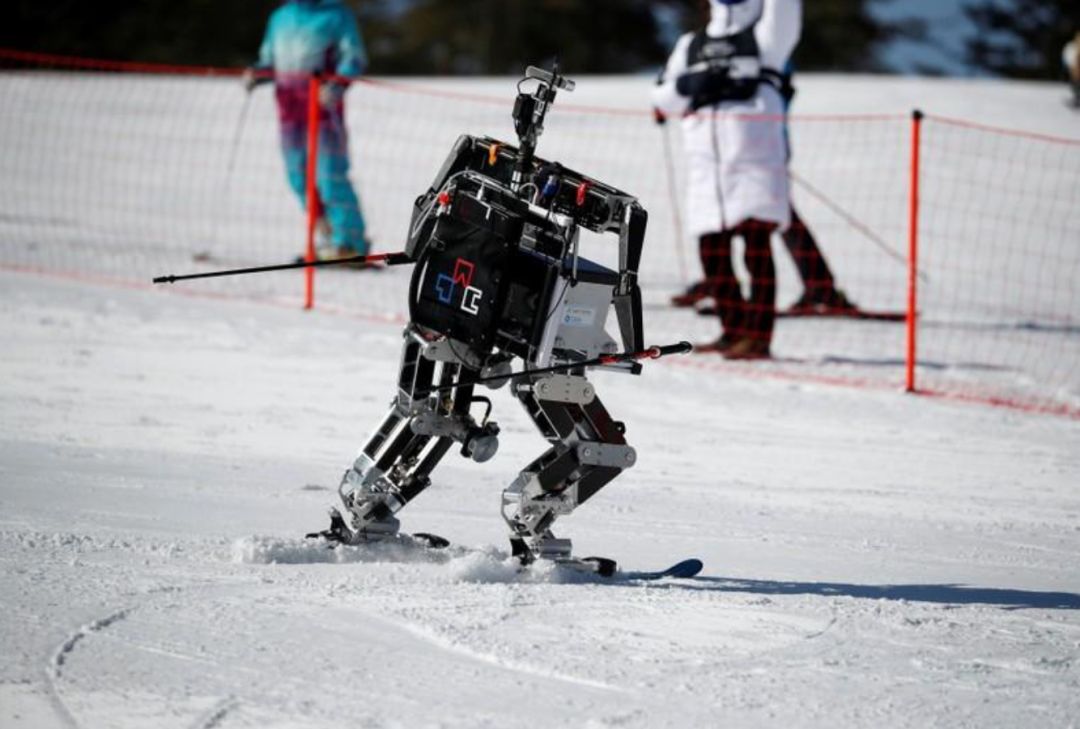【平昌冬奥会】机器人滑雪挑战赛,姿势惊艳(多图)智能躲避旗帜