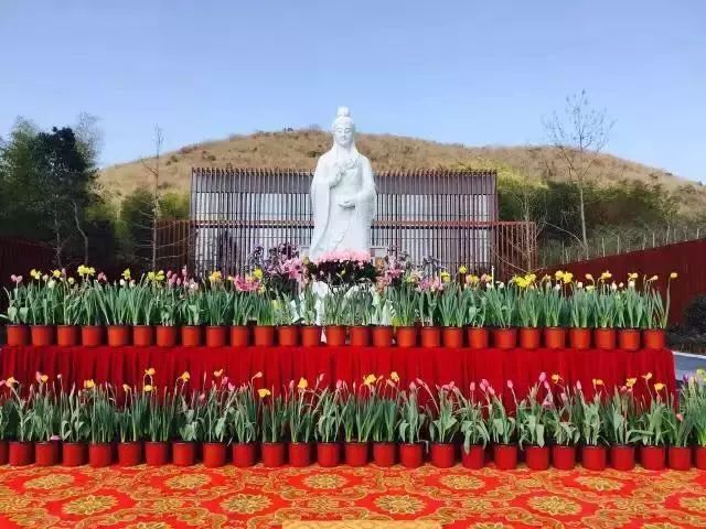 常州花神庙图片