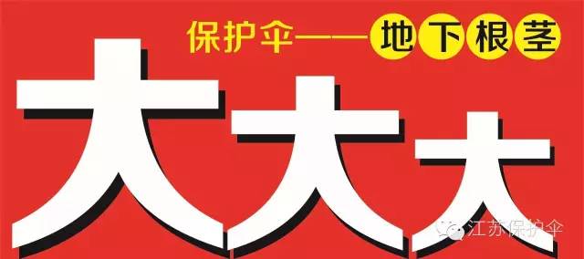 專用配方 效果更好 保護傘專注地下膨大14年