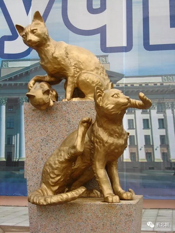 苏联猫猫头图片