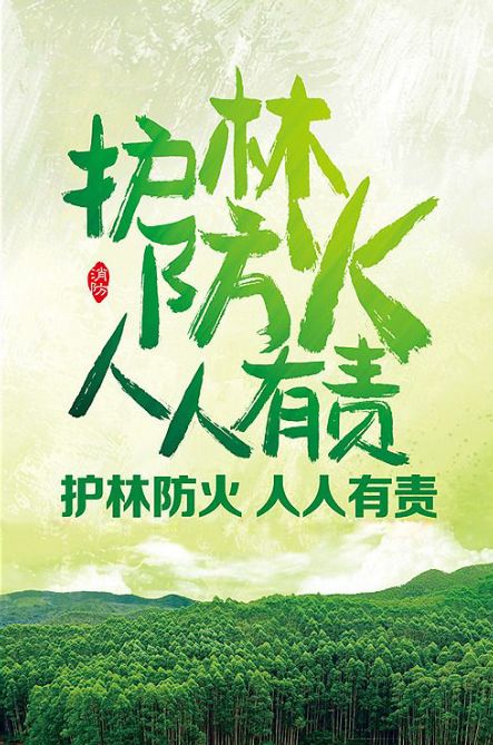 柯城區發佈森林禁火令!春節,元宵節期間,禁止林區用火!_搜狐教育_搜狐