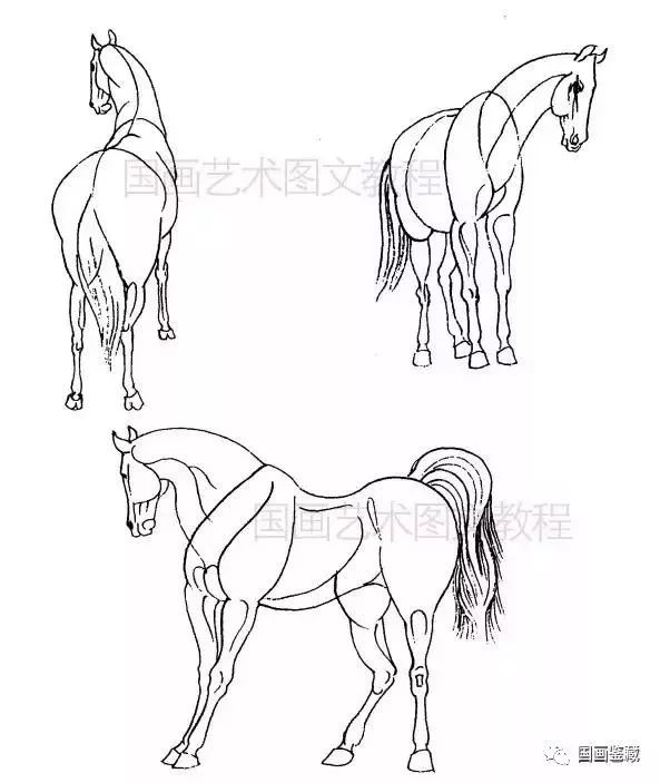 国画画马基本技法图片