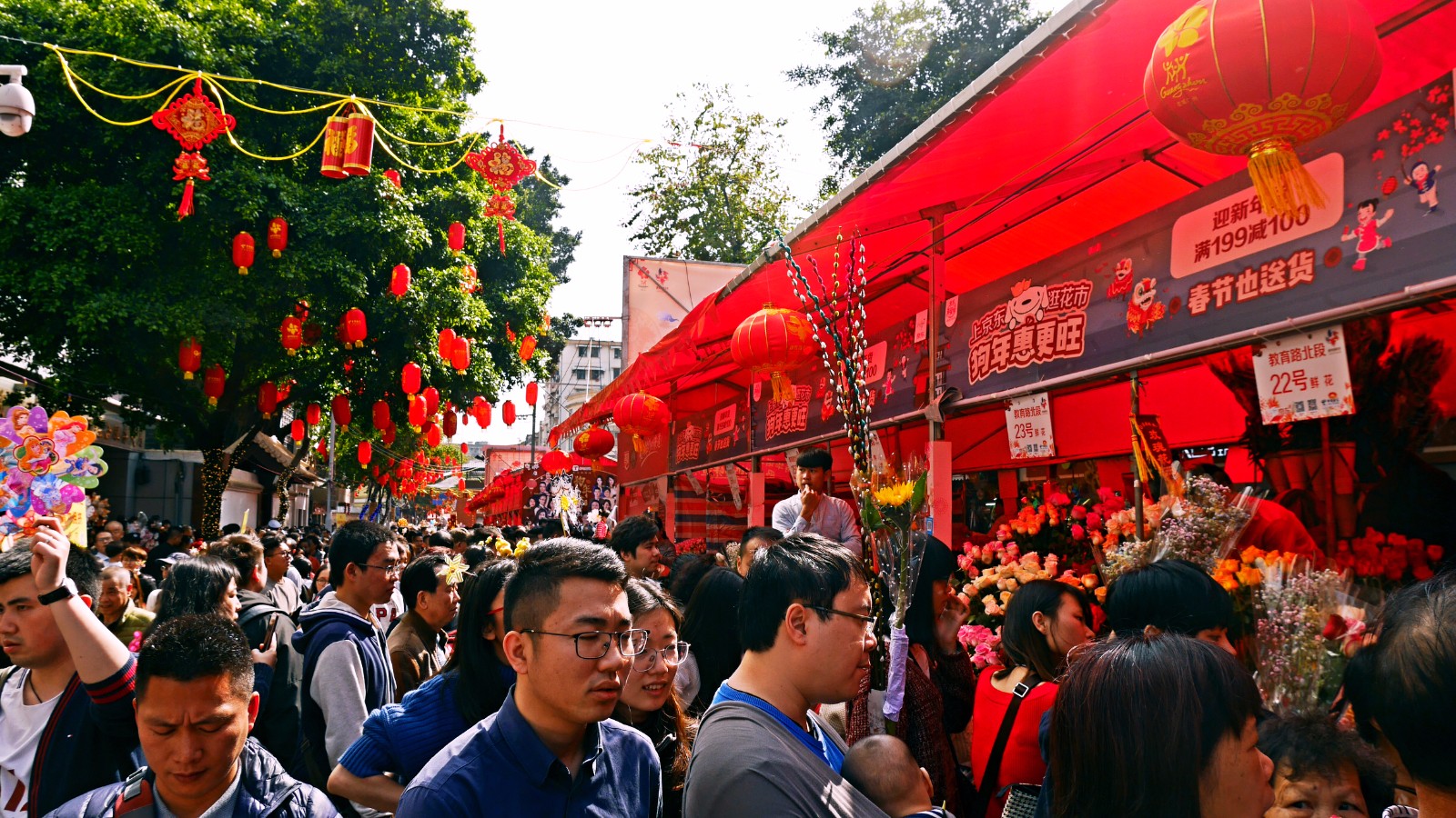 廣州花市迎新春,南國春節味道濃!羊城變身花花世界