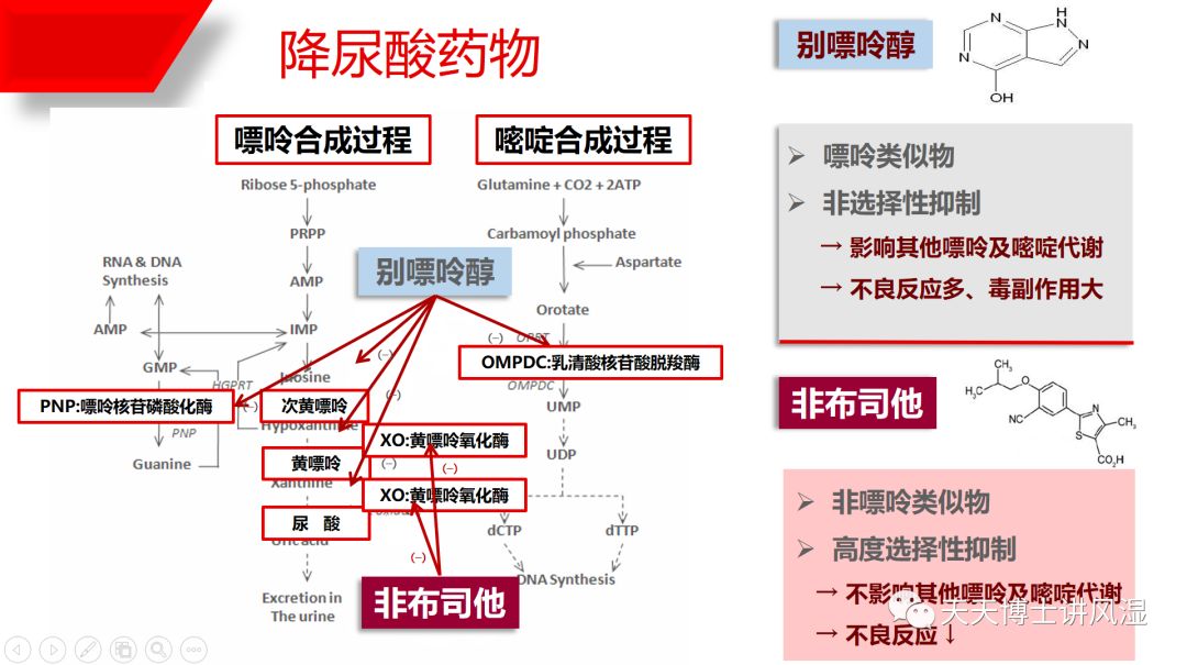 天天博士教您:如何搞定痛风!