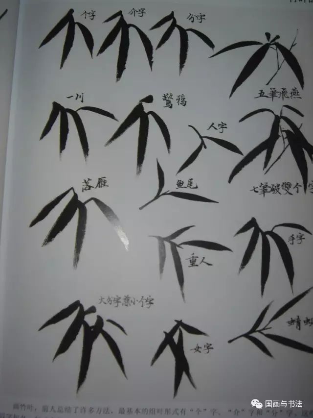 竹林画法简单步骤图片