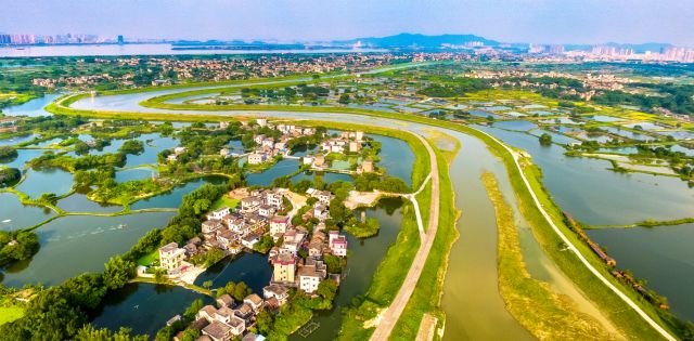 鹤山沙坪湿地公园图片