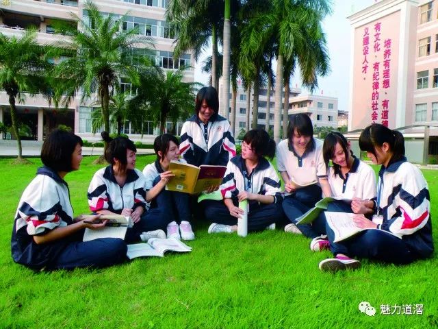 新增3所民辦幼兒園,成立4個鎮級名師工作室,推動濟川中學新學生宿舍樓