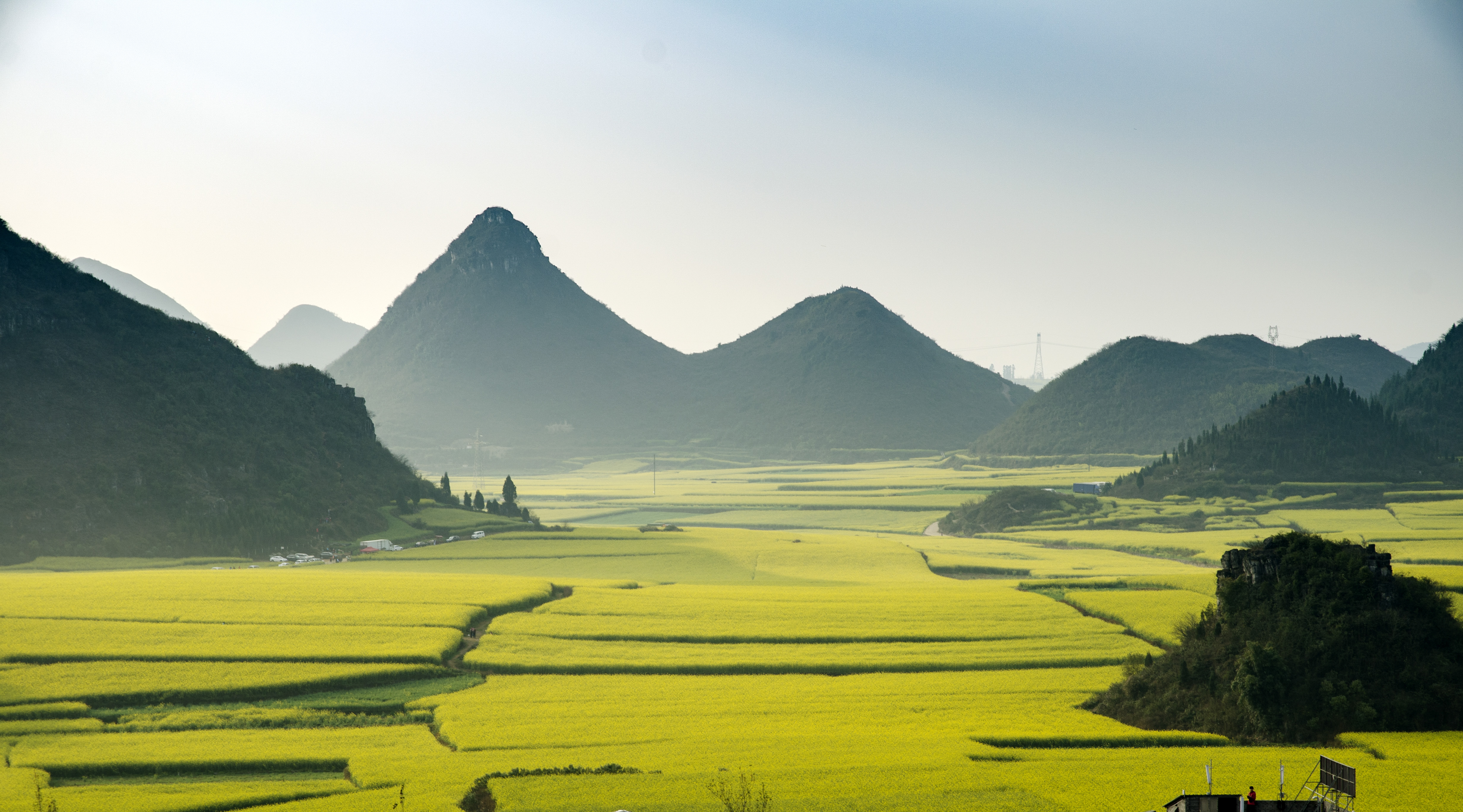 毛田洲油菜花海图片