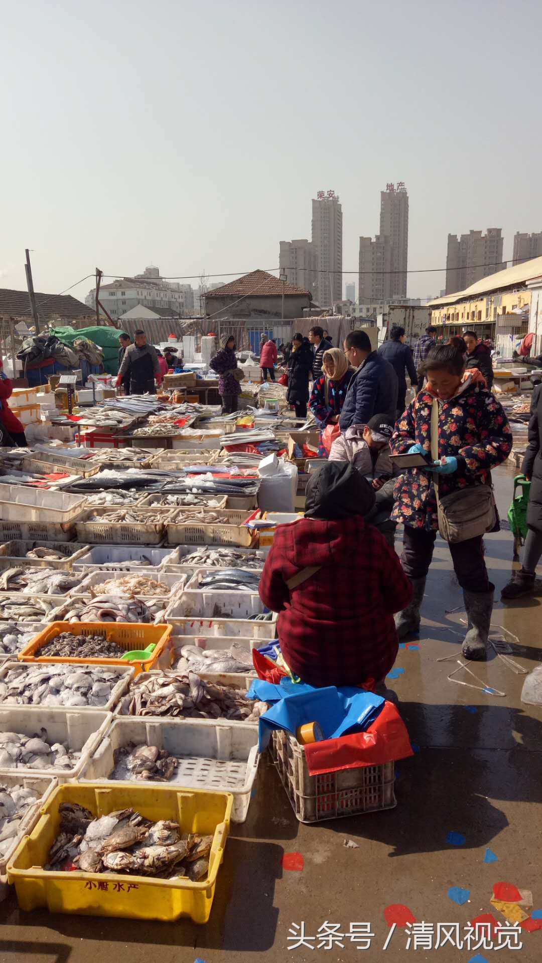 眼看这就是狗年春节了,在山东省日照市十九海鲜批发市场,前来采购海鲜