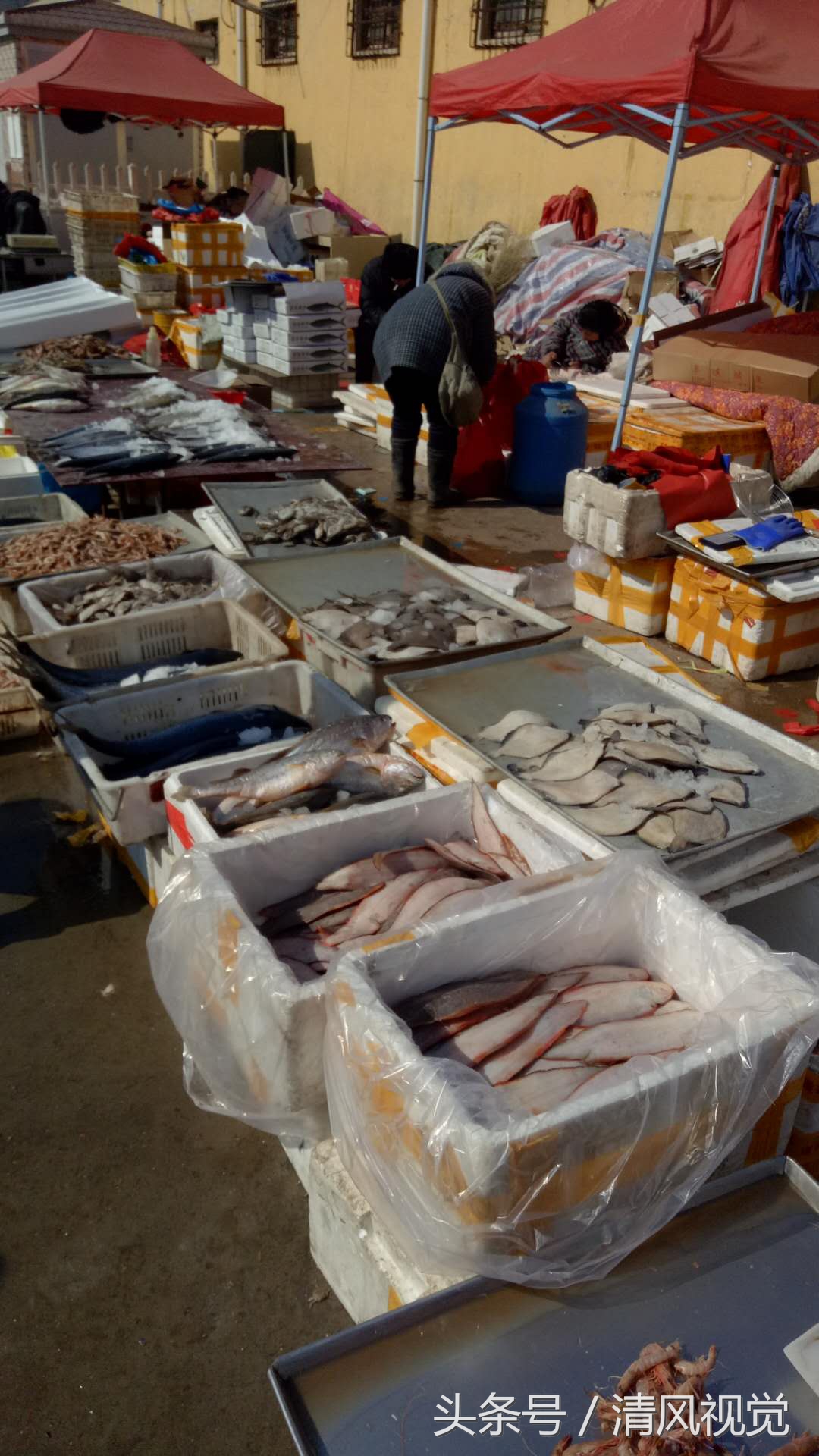 珍珠湾海鲜市场图片