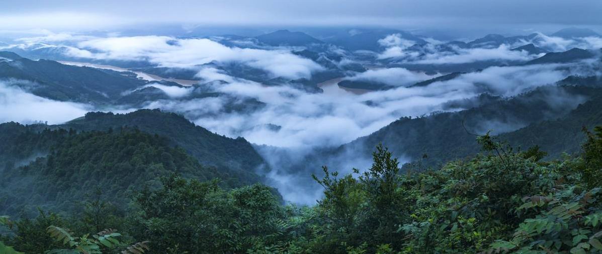 桂山原始森林风景区图片