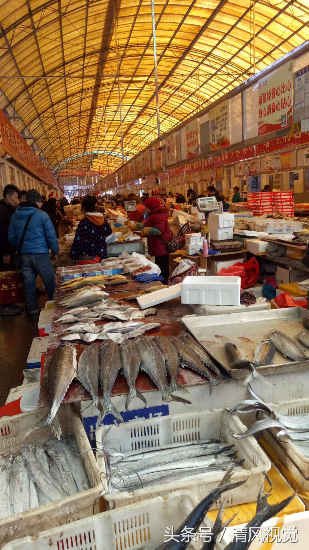 近江海鲜市场图片