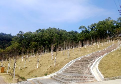 鰲峰公園新建玉堂春園