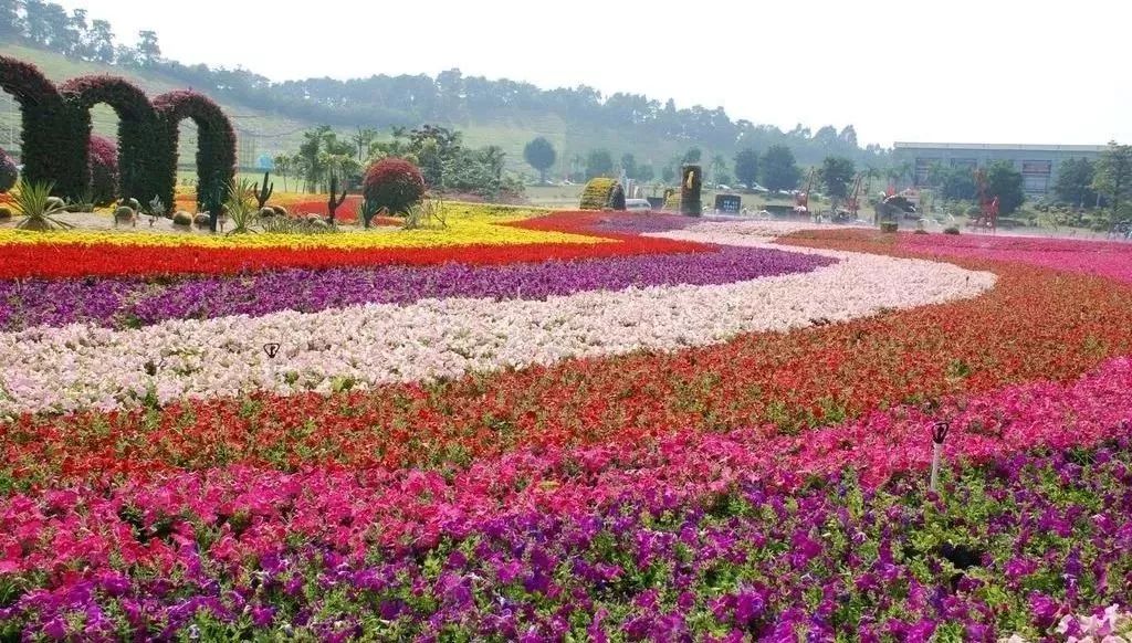 清远十里桃花谷图片