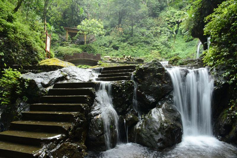 桂山原始森林风景区图片