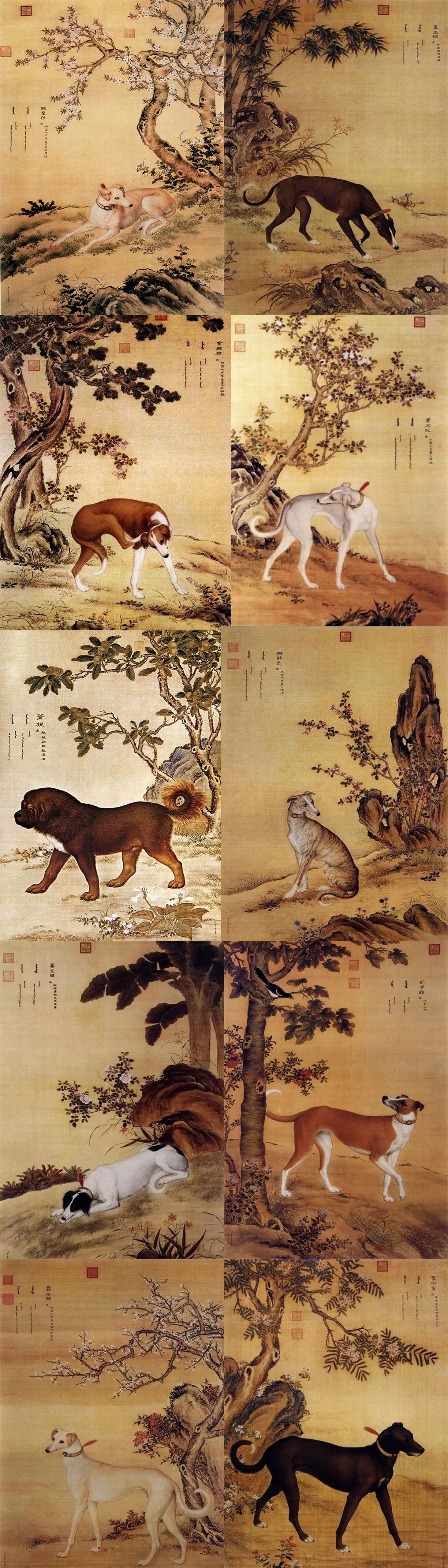 郎世宁的十犬图有几幅图片