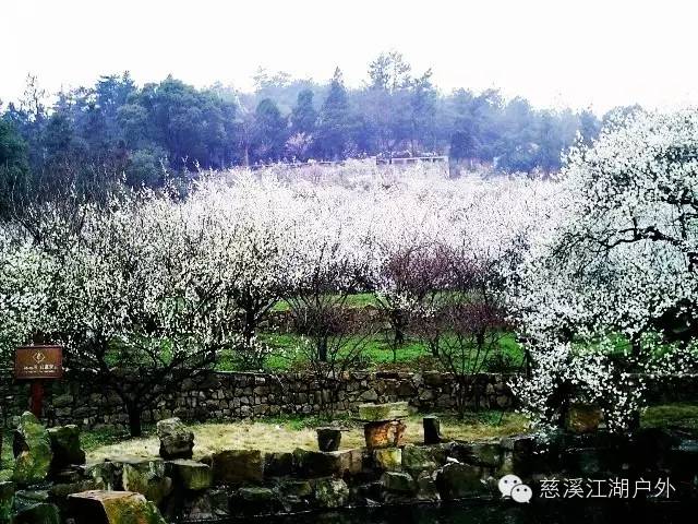 香雪海景區門票【費用包含】全程包車費【活動費用】140元/人(30人成