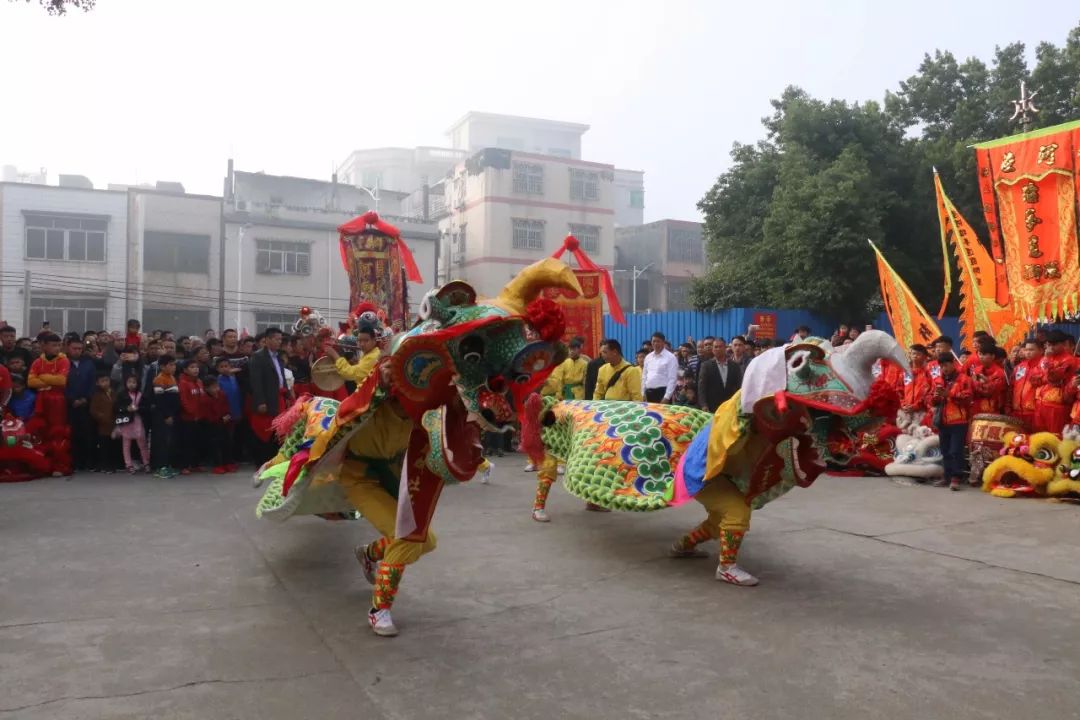 陆河客家狮图片