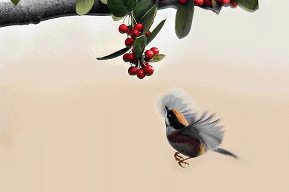 雪中小鸟动图图片