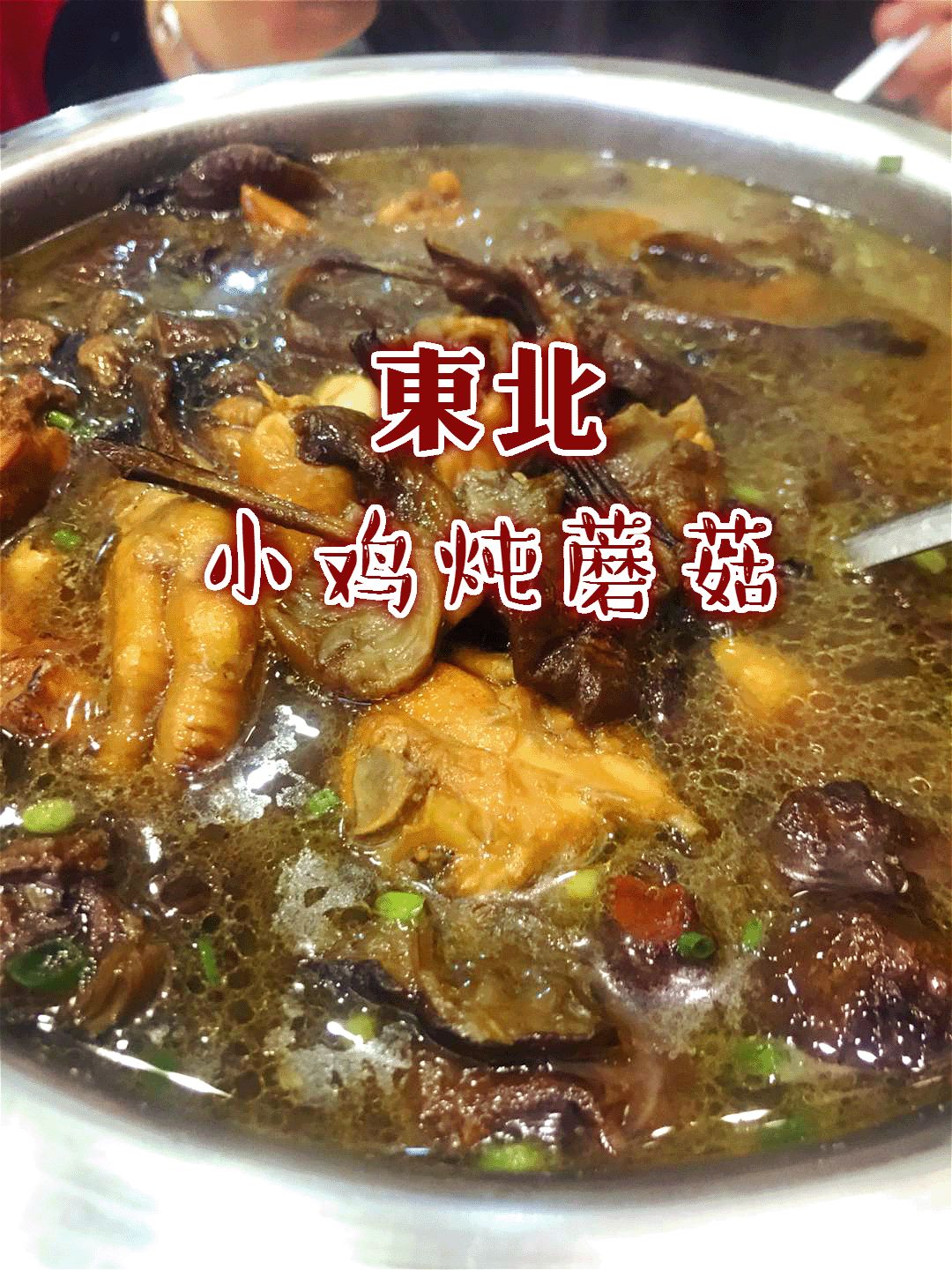 【銅陵美食頭條0216】過年來一桌東北菜,小雞燉蘑菇配地道的東北大拉