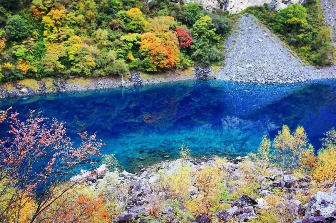 川内各景区春节免票指南,不远游也很high!_搜狐旅游_搜狐网