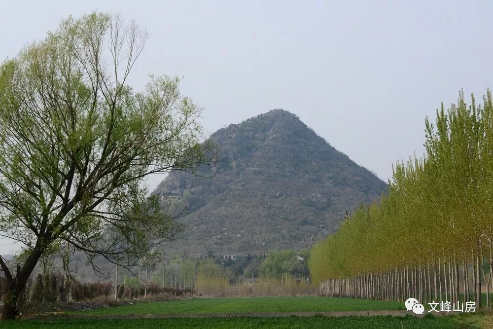 旅游 正文 鹊华秋色图里的景致 自然,天然 华山上已听不到狐仙吟诗