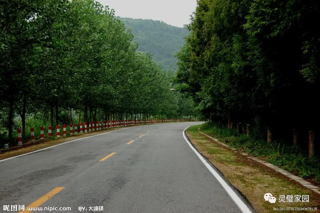 【靈璧關注】今年,我縣這些農村道路要進行施工咯!看看有你們鄉鎮嗎?