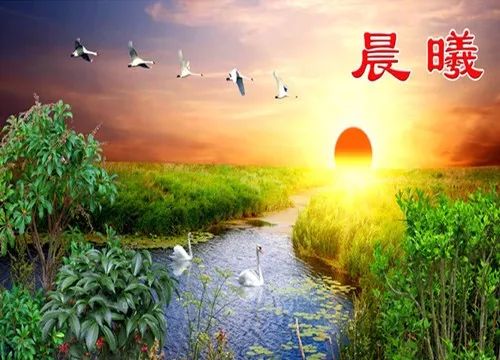 經典音樂:新年晨曦,願新的一年,充滿希望與美好