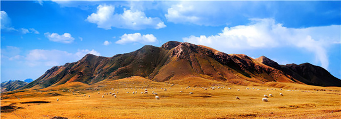 行走于梦幻峡谷,仰望山峰,在大自然中释放自我.或留心于岩画,阴山岩