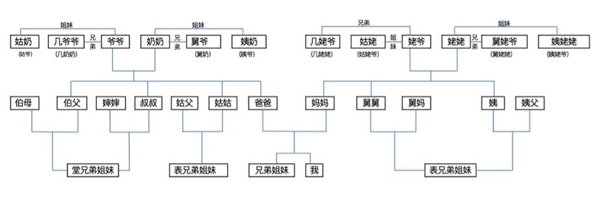 亲戚思维导图图片