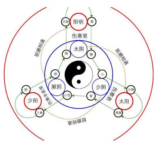 如果,中美是互為表裡的關係,中國為土,中土,土應脾胃,應足太陰經,足