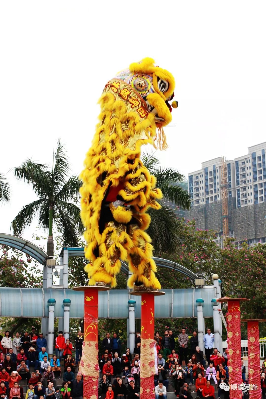 2020年春节醒狮拜年图片