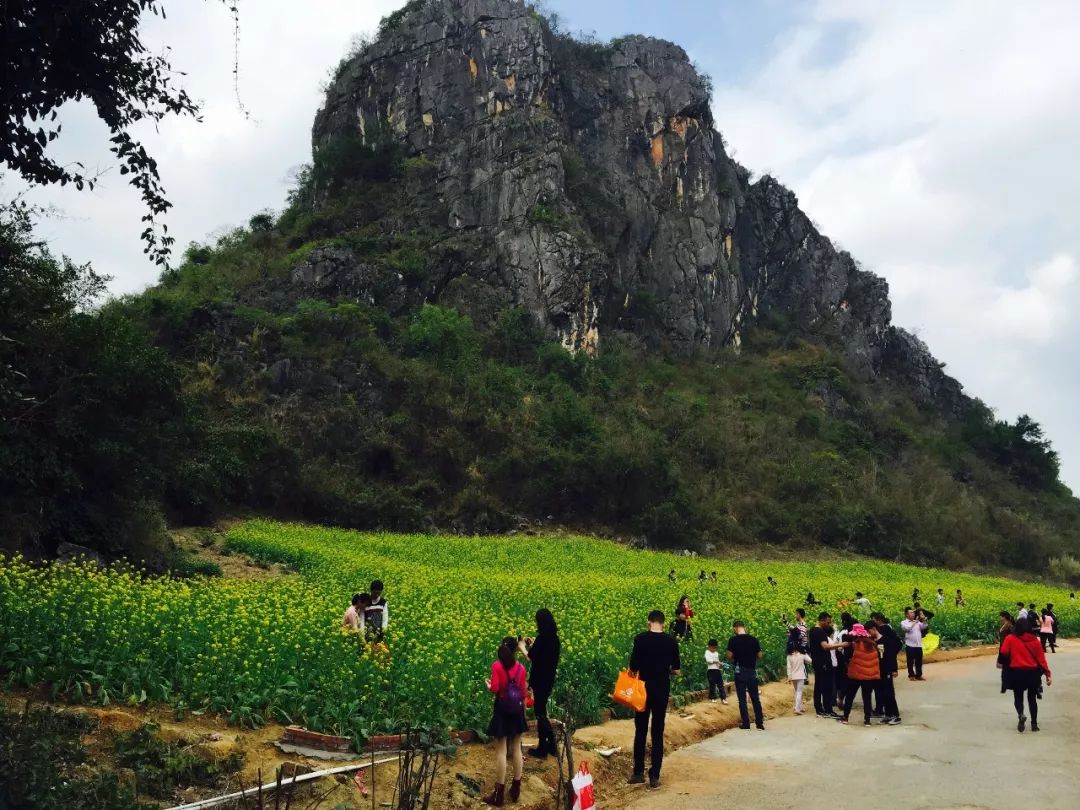 2018春节期间春湾风景区喜迎新年首个旅游高峰