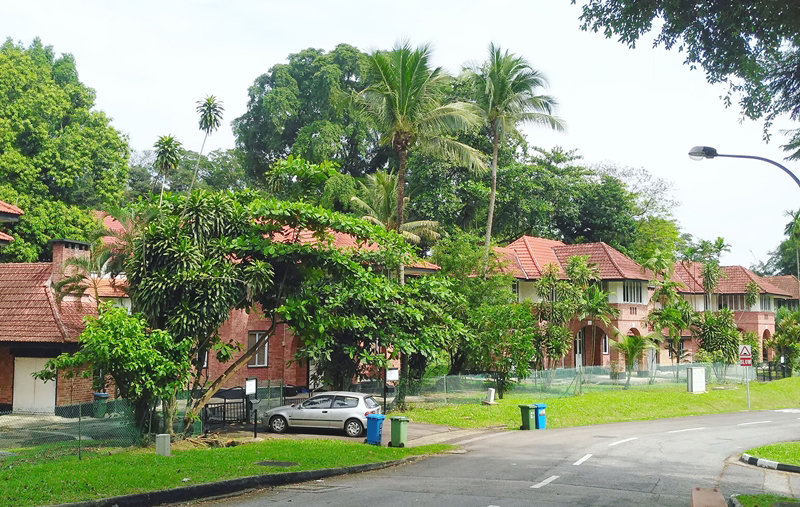 路過實裡達下段蓄水池,和實裡達航空園,看到一些