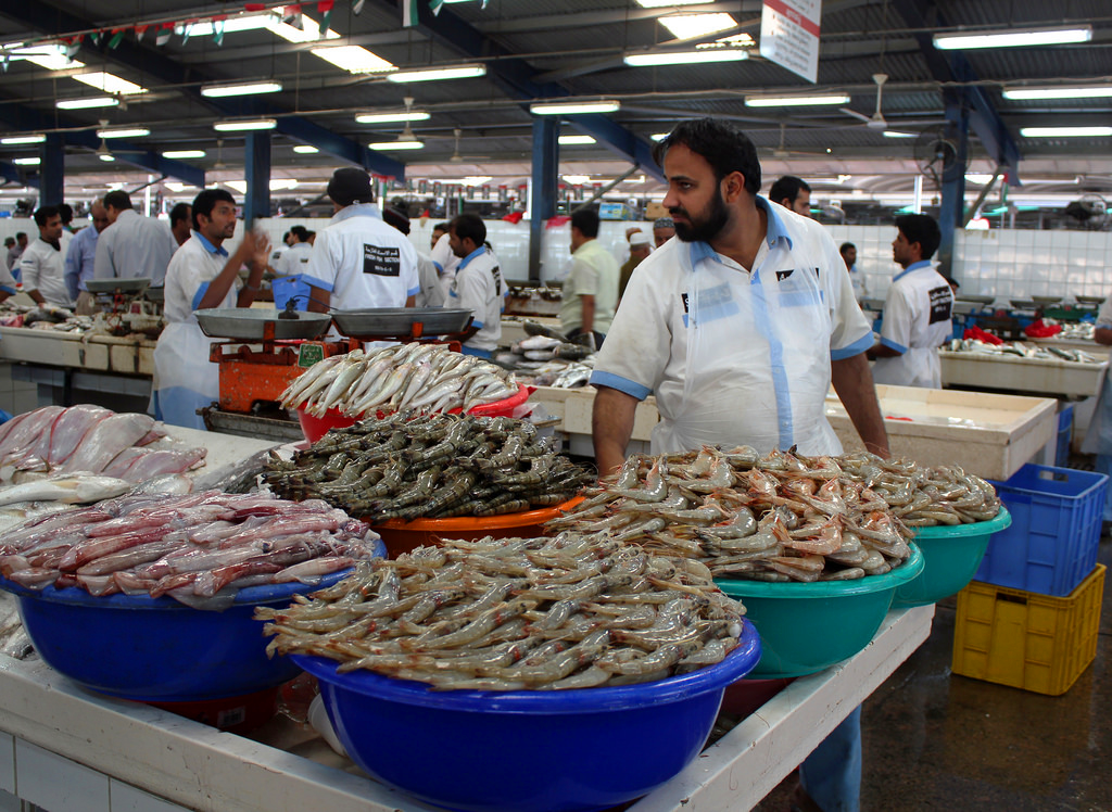 迪拜鱼市图片