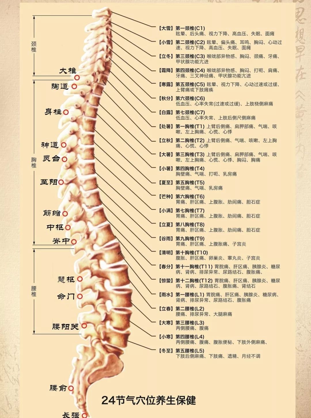 24节气对应人体的部位图片