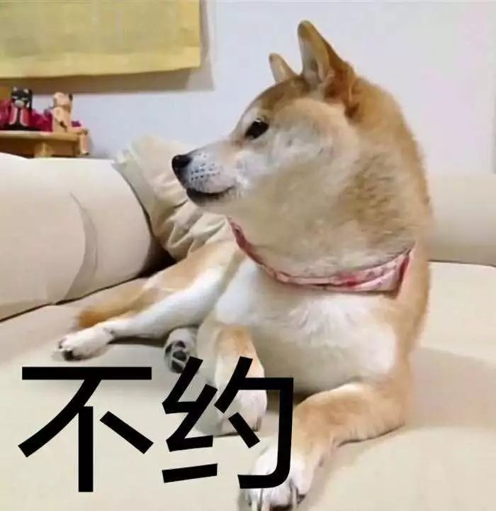 柴犬表情包,有誰需要?快拿走,不用謝!