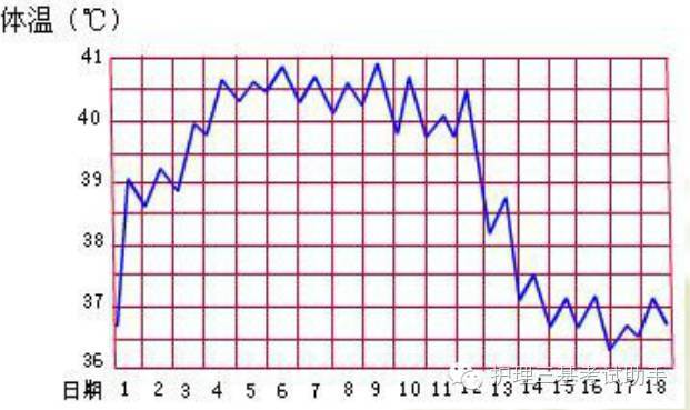 正常体温24小时曲线图片