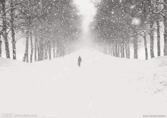 孤独的雪景图片图片