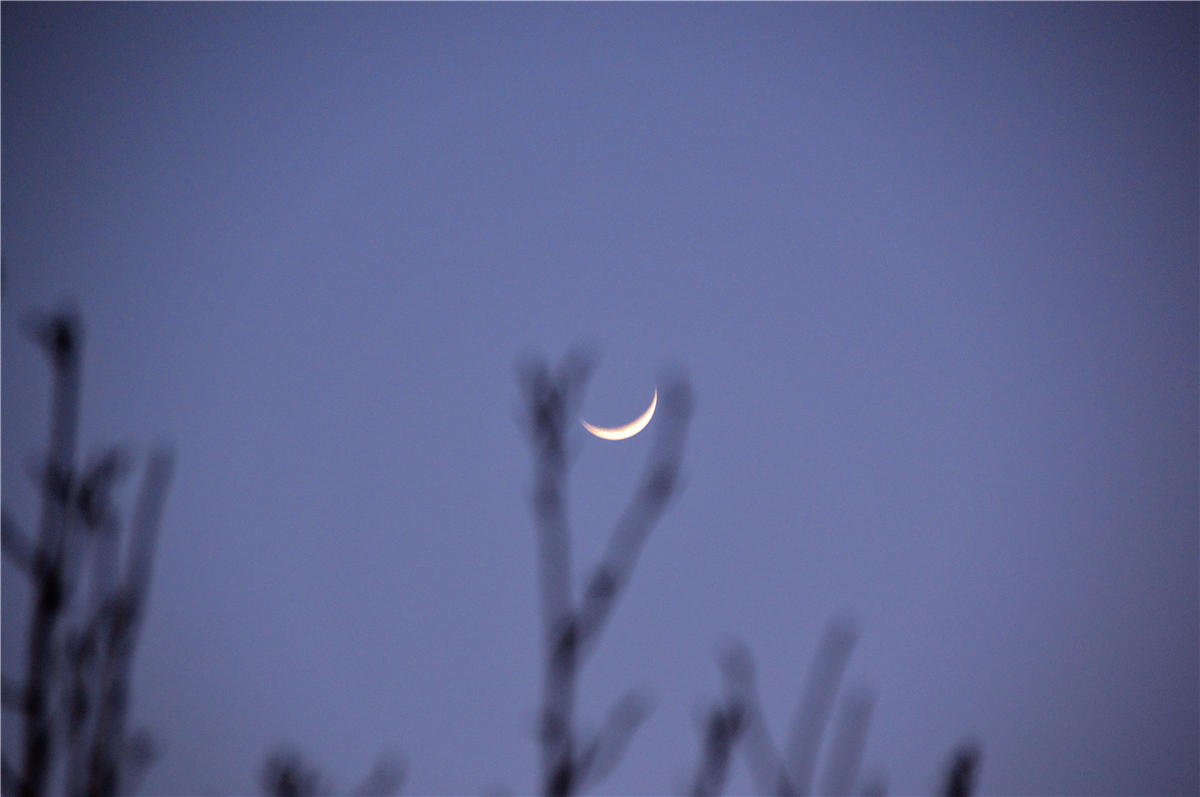 正月初四的月亮图片图片