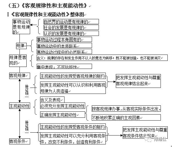 高中马哲思维导图图片